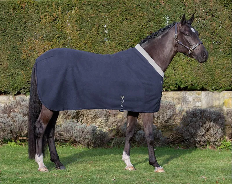 LeMieux Four Seasons Rug in Navy